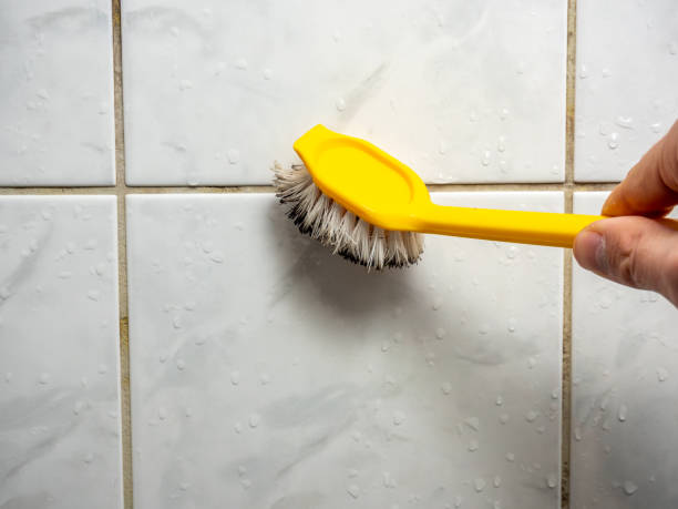Best Black Mold Removal  in Spring Hill, KS