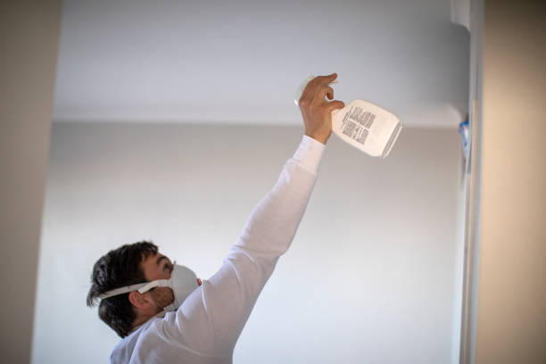 Best Local Mold Removal Service  in Spring Hill, KS