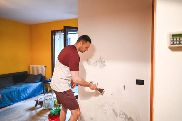 Spring Hill, KS Mold Removal Company