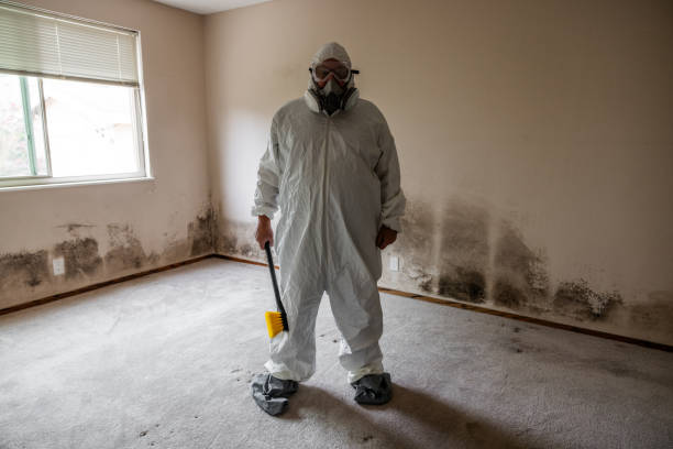 Best Professional Mold Removal  in Spring Hill, KS